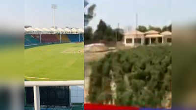 Video: आंतरराष्ट्रीय सुविधा असलेल्या क्रिकेटच्या मैदानावर केली जाते भोपळा आणि मर्चीची शेती