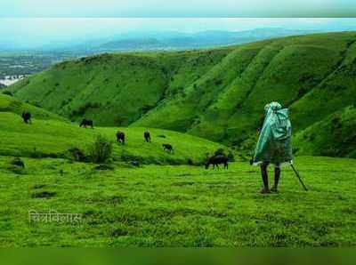 World Photography Day : निसर्गही आपल्यावर प्रेम करतो, हे फोटो तुम्हीही असंच म्हणाल...