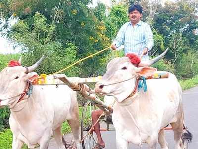 बैलगाडी शर्यत होणारच! गोपीचंद पडळकरांचं राज्य सरकारला आव्हान; पोलीस बंदुका आणि दंडुके घेऊन रस्त्यावर