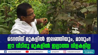 ടെറസിന് മുകളിൽ ഇലഞ്ഞിയും, മാവും!! ഈ വീടിനു മുകളിൽ ഇല്ലാത്ത വിളകളില്ല 