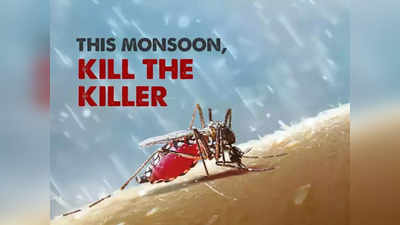 World Mosquito Day 2021: डेंग्यू व मलेरियापासून कसा बचाव करावा? जाणून घ्या महत्त्वपूर्ण टिप्स