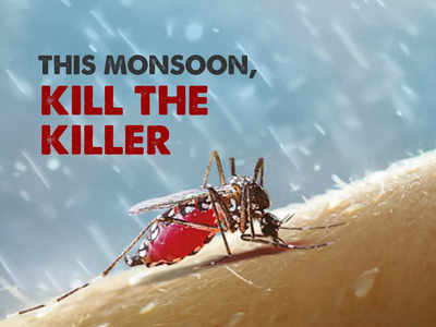 World Mosquito Day 2021: આ ચોમાસાની ઋતુમાં મલેરિયા અને ડેન્ગ્યુથી બચવાની ટિપ્સ