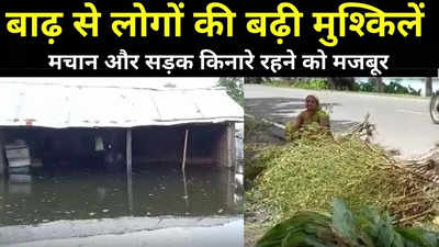 Purnia News: बाढ़ ने इसकदर बढ़ाई लोगों की मुश्किलें, मचान और सड़क किनारे शरण लेने को हुए मजबूर
