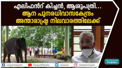 എലിഫന്‍റ് കിച്ചന്‍, ആശുപത്രി... ആന പുനരധിവാസകേന്ദ്രം  അന്താരാഷ്ട്ര നിലവാരത്തിലേക്ക്