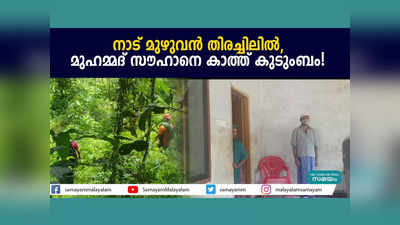 നാട് മുഴുവൻ തിരച്ചിലിൽ... മുഹമ്മദ് സൗഹാനെ കാത്ത് കുടുംബം! വീഡിയോ കാണാം