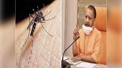 यूपी: कोरोना के बीच राज्य में डेंगू ने दी दस्तक, ऐक्शन में आए CM योगी, अफसरों को दिए खास निर्देश