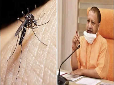 यूपी: कोरोना के बीच राज्य में डेंगू ने दी दस्तक, ऐक्शन में आए CM योगी, अफसरों को दिए खास निर्देश
