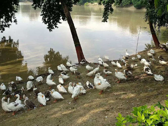 कानपुर में मोती झील - Moti Jheel in Kanpur in Hindi