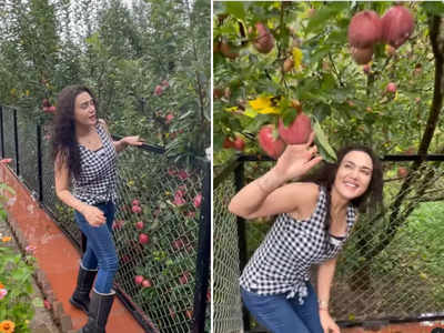 Video: फिल्मों से दूर प्रीति जिंटा अब कर रही हैं खेती का काम, दिखाया शिमला में फैमिली फार्महाउस पर सेब का बगान