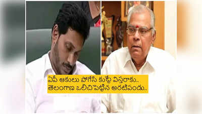 YS Jagan: నిద్ర నటించేవాడ్ని ఏం చేయగలం.. సీఎం జగన్‌పై కోటా హాట్ కామెంట్స్