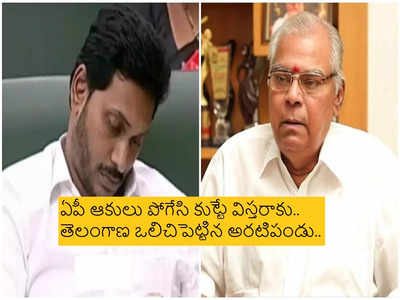 YS Jagan: నిద్ర నటించేవాడ్ని ఏం చేయగలం.. సీఎం జగన్‌పై కోటా హాట్ కామెంట్స్