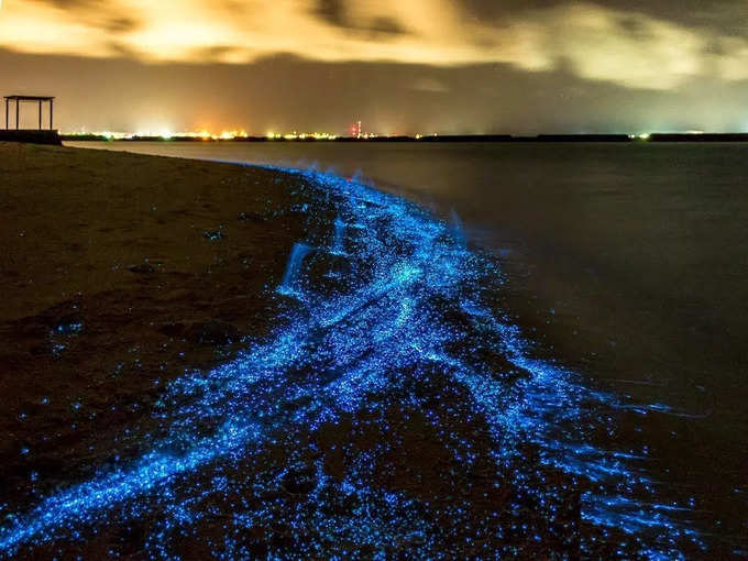 वाधू द्वीप - Vaadhoo Island in Maldives in Hindi