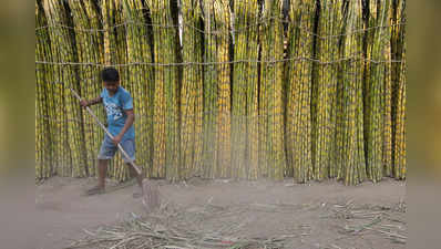 Sugarcane Farmers: गन्ना किसानों के लिए FRP में महज 5 रुपये इजाफा, चुनावी मौसम में यूपी में केंद्र ने तोहफा दिया या लॉलीपॉप