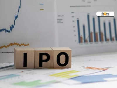 IPO করার জন্য কেমন করে কোনও সংস্থা প্রস্তুতি নেবে?