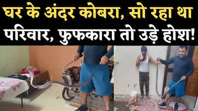 Viral Video: रातभर घर में घुसा बैठा था कोबरा, सोता रहा परिवार, सुबह देखा तो उड़ गए होश