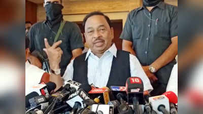 Narayan Rane: माझे शब्द बरोबर आहेत!; फडणवीसांच्या त्या सल्ल्यावर राणेंचं तीरकस उत्तर