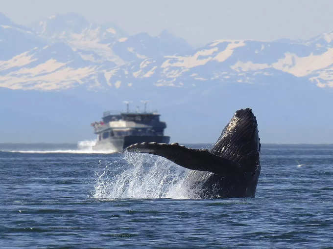 वैंकूवर द्वीप, कनाडा - Vancouver Island, Canada in Hindi