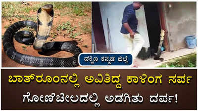 ಬಾತ್‌ರೂಂನಲ್ಲಿ ಅವಿತಿದ್ದ ಕಾಳಿಂಗ ಸರ್ಪ: ಗೋಣಿಚೀಲದಲ್ಲಿ ಅಡಗಿತು ದರ್ಪ!