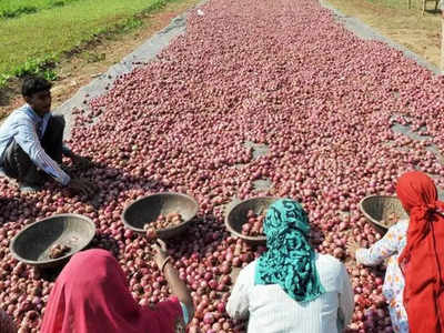 Onion Farming Business Idea: प्याज की खेती से कमाएं 4 लाख रुपये तक का मुनाफा, यूं बेचेंगे तो बिकेगी 10 लाख से भी ज्यादा की!
