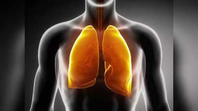 করোনা কি বাড়াচ্ছে Lung Cancer-এর আশঙ্কা? পড়ুন চিকিৎসকদের পরামর্শ