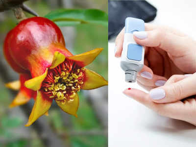 Diabetes के मरीजों के लिए रामबाण है अनार का फूल, दवा के मुकाबले तेजी से कंट्रोल करे शुगर