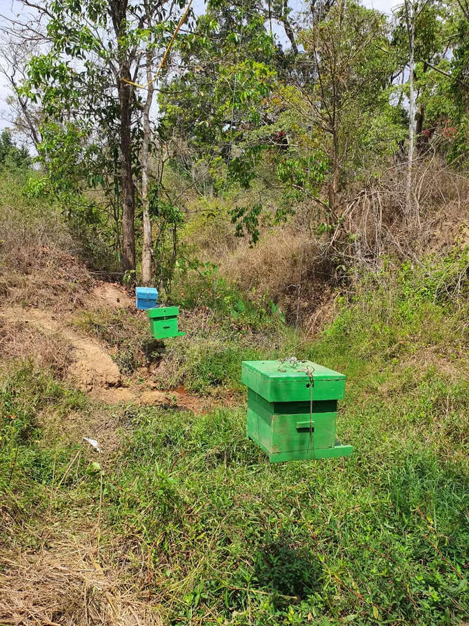 elephant net kodagu