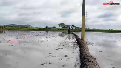 ಚಾಮರಾಜನಗರ: ಹಳೇ ನಾಟಿ ಪದ್ಧತಿ ಬಿಡಿ, ಡ್ರಮ್‌ ಸೀಡರ್‌ ವಿಧಾನ ಹಿಡಿ