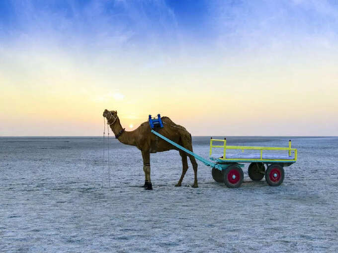 गुजरात का रन ऑफ कच्छ - Rann Of Kutch in Gujarat in Hindi