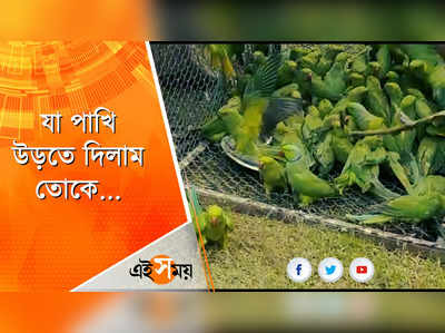 জঙ্গলে ছাড়া হল একঝাঁক টিয়া