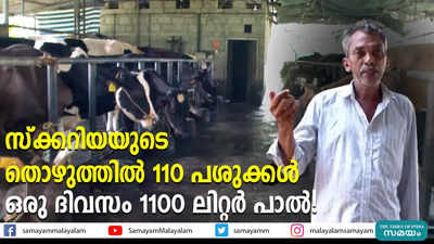 സ്‌ക്കറിയയുടെ തൊഴുത്തിൽ 110 പശുക്കള്‍; ഒരു ദിവസം 1100 ലിറ്റര്‍ പാല്‍!