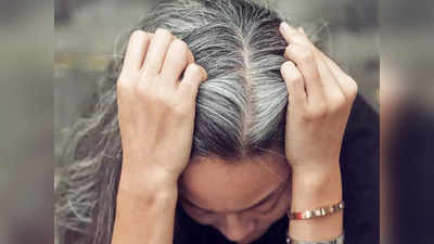 Gray Hair Problem : या एका कारणामुळे केस होतात पांढरे, साध्या-सोप्या आयुर्वेदीक उपायांमुळे पांढरे केस होतील काळेभोर 