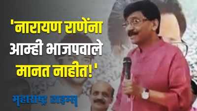 Sanjay Raut |  देवेंद्र फडणवीस आणि मुख्यमंत्र्यांमध्ये बंद दाराआड चर्चा: संजय राऊत