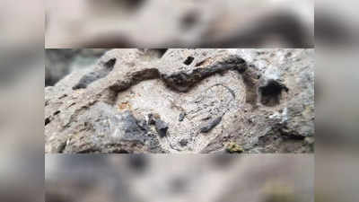 Jammu-Kashmir News: कश्मीर के 2 शिक्षकों ने विशाल जीवाश्म स्थल की खोज का किया दावा, कुलगाम में हजारों जीवाश्‍म अवशेष