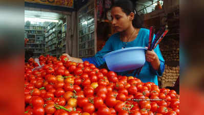 नासिक के किसान टमाटर क्यों फेंक रहे हैं सड़कों पर, जानिए पूरी बात