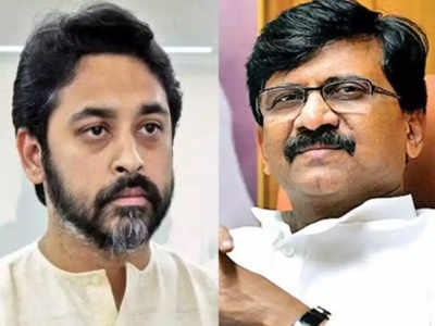 nilesh rane vs sanjay raut: संजय राऊत यांचा दिसतील तेथे करेक्ट कार्यक्रम करणार; नीलेश राणेंचा इशारा