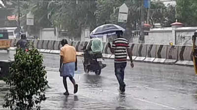 குமரியை குளிர்விக்கும் மழை; அணைகள் நீர்மட்டம் பாருங்க!