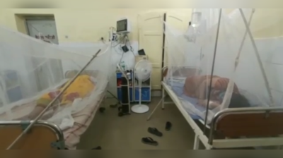 बाढ़ से राहत के बाद प्रयागराज में डेंगू ने दी दस्तक, 16 मरीज आए सामने