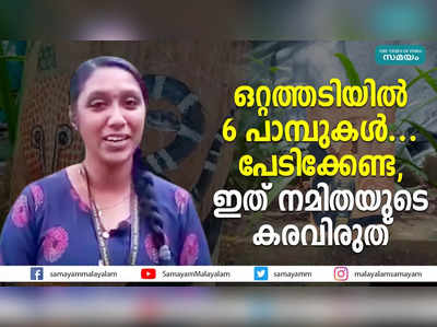 ഒറ്റത്തടിയില്‍ 6 പാമ്പുകള്‍.... പേടിക്കേണ്ട, ഇത് നമിതയുടെ കരവിരുത്