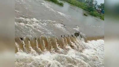 Jalgaon Rains: चाळीसगावकरांची झोप उडाली; एकाच दिवशी तब्बल १२३ मि.मी. पाऊस!