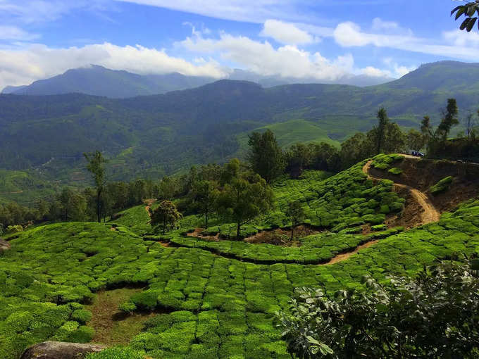 मुन्नार - Munnar in Hindi