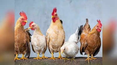 Shahdol News: पत्नी ने चिकन बनाने से इनकार किया तो पति ने डंडा मारकर ले ली जान