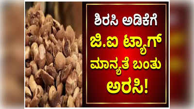 ಶಿರಸಿ ಅಡಿಕೆಗೆ ಭೌಗೋಳಿಕ ಹೆಗ್ಗುರುತಿನ ಆಧಾರದ ಮೇಲೆ ನೀಡುವ ಜಿ.ಐ ಟ್ಯಾಗ್ ಮಾನ್ಯತೆ!