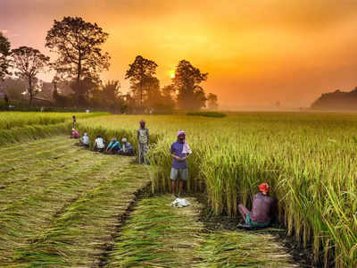 अर्थउभारीचा सांगावा