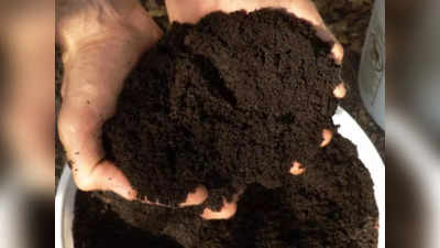 Vermi Compost Business Idea: वर्मी कंपोस्ट से हर साल कमाएं 20 लाख रुपये तक का मुनाफा, लोग नौकरी छोड़ कर शुरू कर रहे ये बिजनस!