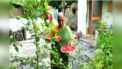 శేషమ్మ గారి మందారం టీ.. చాలా సింపుల్.. బోలెడన్ని ప్రయోజనాలు