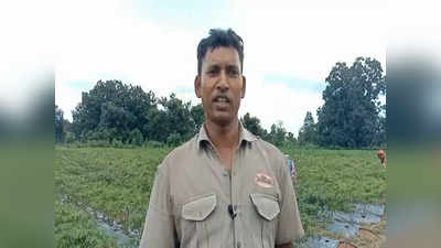 Chatra News: चतरा के इन किसानों ने किया अनूठा प्रयोग, बंजर भूमि में फसल उगाकर बढ़ाई पैदावार