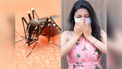 Ghaziabad news: गाजियाबाद में लगातार बढ़ रहे सीजनल वायरल, डेंगू व मलेरिया के मरीज, स्‍वास्‍थ्‍य विभाग बेपरवाह