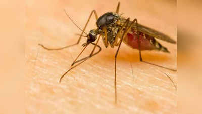 लखनऊ में अब तक 400 बीमार, डेंगू से मुकाबले के लिए प्रशासन तैयार.. माइक्रो लेवल टीमें गठित
