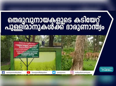 തെരുവുനായകളുടെ കടിയേറ്റ് പുള്ളിമാനുകള്‍ക്ക് ദാരുണാന്ത്യം 