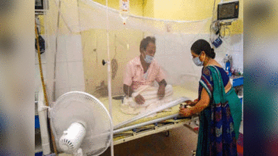 Dengue in UP: डेंगू और वायरल फीवर से फिरोजाबाद में बिगड़ते जा रहे हालात, 70 से ज्यादा मौतें, दहशत से लोगों का पलायन